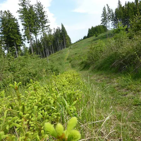 Kueken Апартаменти *