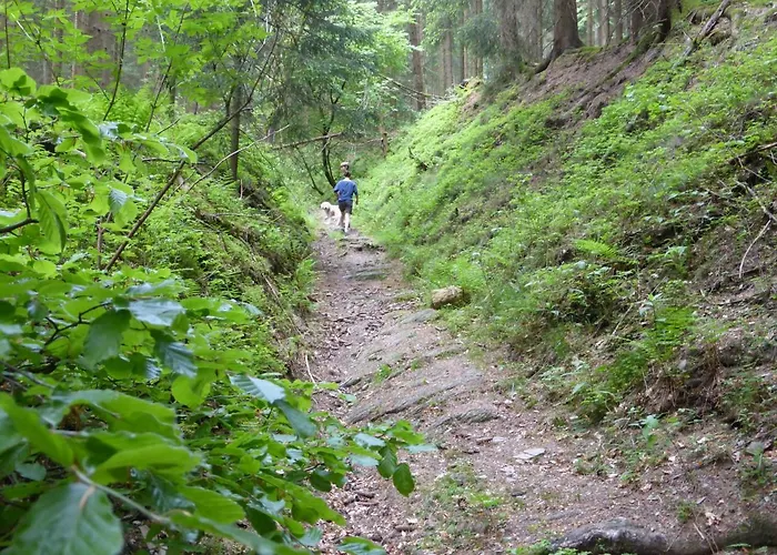 Kueken Апартаменты